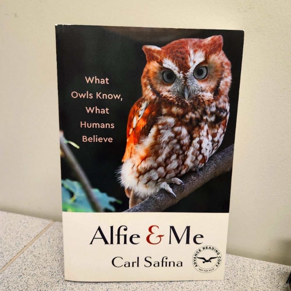 Alfie and Me book Release date Oct 2023